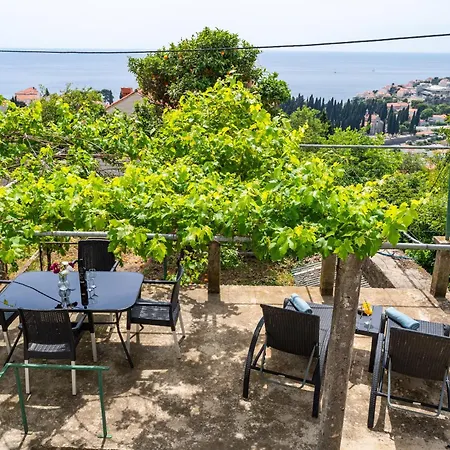 Ivo Dubrovnik