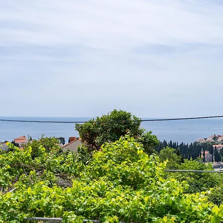 Daire Ivo Dubrovnik