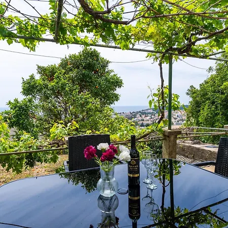Ivo * Dubrovnik