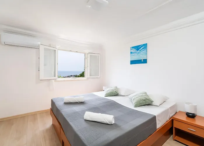 Ivo 杜布罗夫尼克