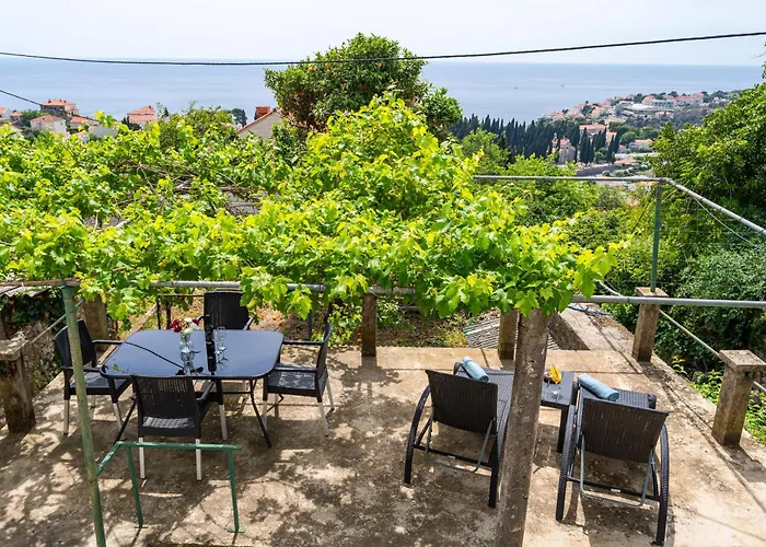 Ivo 杜布罗夫尼克