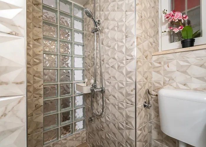 Ivo 杜布罗夫尼克