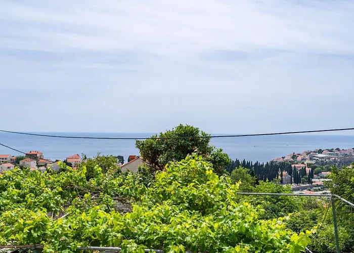 公寓 Ivo 杜布罗夫尼克