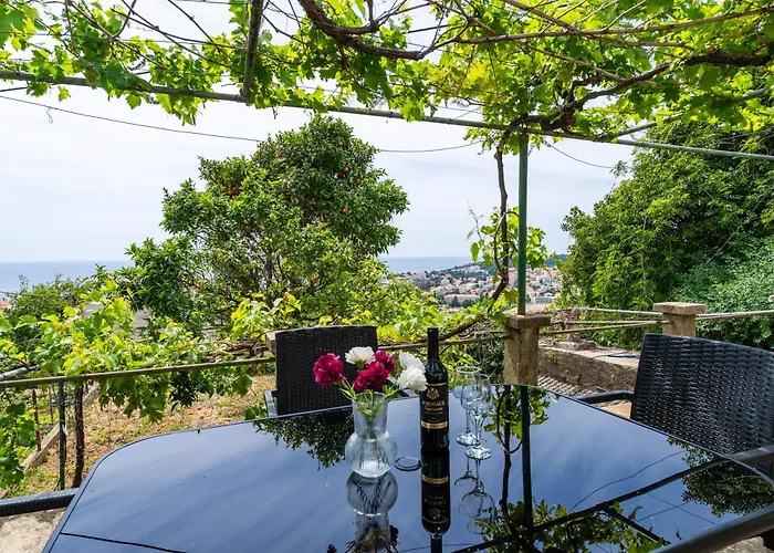 Ivo * 杜布罗夫尼克