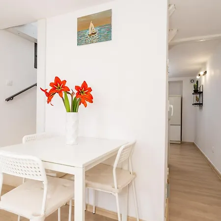 Apartment Ivo