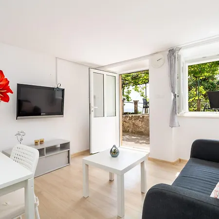 Apartment Ivo